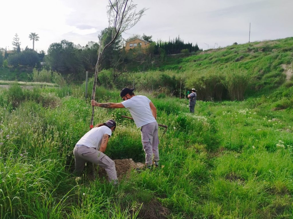 Medio Ambiente Molina Proyecto 'ANILLO VERDE' Fase final trabajos plantación Foto3