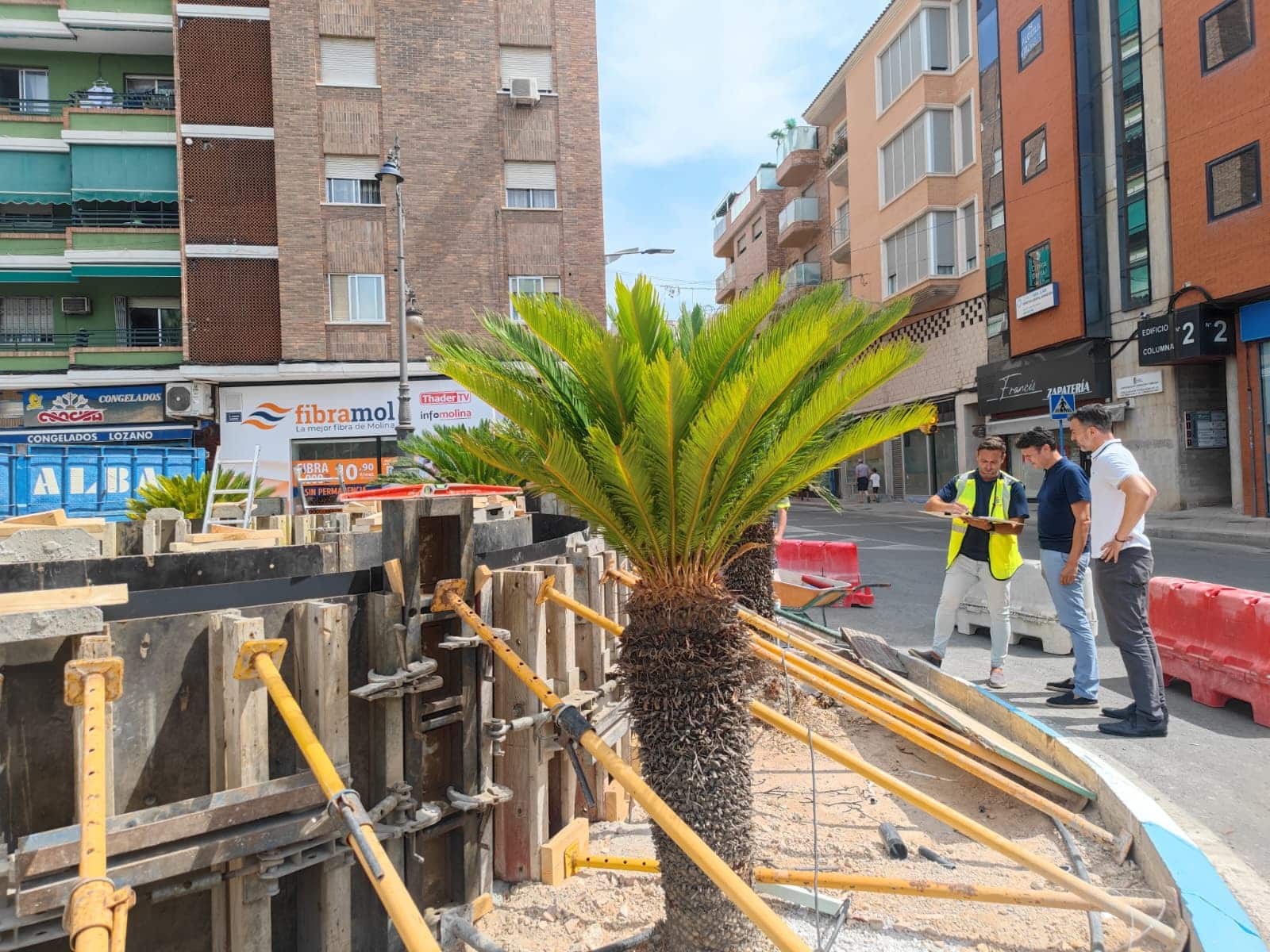 El Gobierno local de Molina de Segura impulsa la mejora de su infraestructura verde con una actuación integral de acupuntura urbana - Foto 01